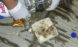 Man Rescues Dog From Dire Situation