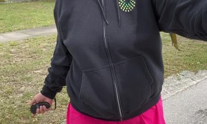 Skateboarding with Some Thrill-Seeking Macaws