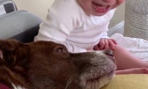 Laughter Causes Loss of Balance