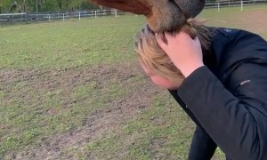 Horse Has Her by the Hair