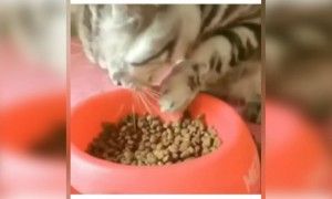 When you haven't eaten in few hours