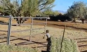 Kiddo Learns Lesson on Why Not to Run While Pushing a Gate