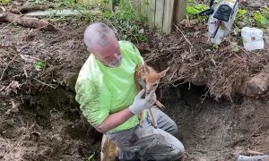 First responders in New Jersey help save a fawn that somehow got stuck in a hole