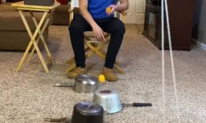 17 Pot, Ping-Pong Ball and Swinging Cup Trick Shot