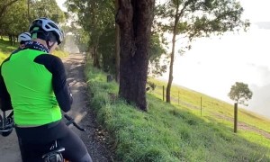 Fog Beautifully Blankets the Yarra Valley