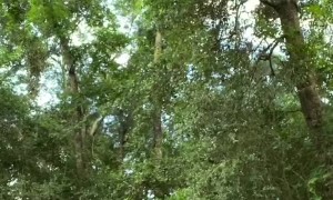 Girl Doesn't Realize She Was Bitten By a Copperhead Snake