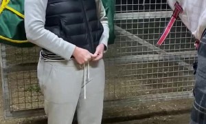 Horse Helps With Zipper