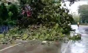 Park Street Kolkata, today morning