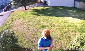 Pizza Delivery With a Special Pose