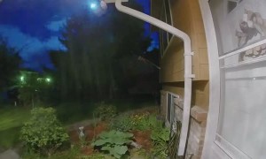 Doorbell Camera Catches Meteor Lighting up the Night Sky