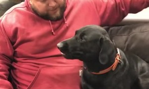 Doggy Drops Drink While Fetching It From the Fridge