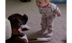 This baby can't stop talking to her doggy best friend