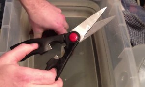 Man cuts unusual pod open to reveal stunning baby shark