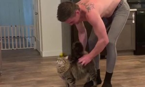 Kitty Demands Firm Pats