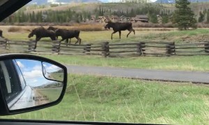 Traffic Jam in Fraser, Colorado