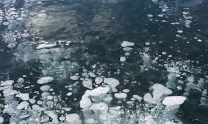 The Mesmerizing Ice of Abraham Lake