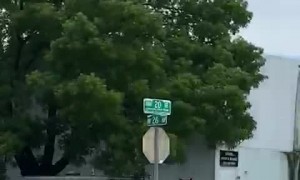 Dog Hitches a Ride on Bicycle Riders Back