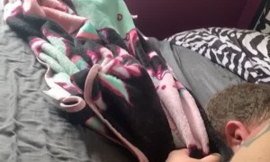 Cat Nip Ends With a 5-Minute Fall off Bed