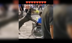 You can't live without them!