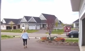 Neighbor Knocks Over Light Pole