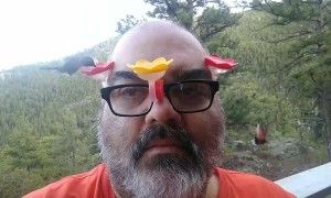 Hummingbird Whisperer