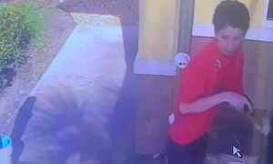 Employee Slips and Smacks Manager With Mop Handle