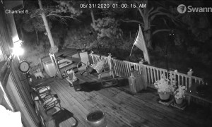 Mountain Lion Family's Late Night Visit