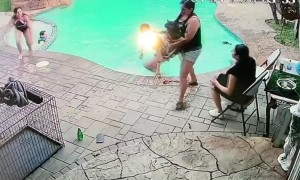 Dog Rescued from Pool Leads to Snapped Sandals