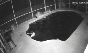 Dude Loses Balance Trying to Test Pool Temperature