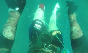 Bull Shark Bites Spear Fisher's Flipper Off