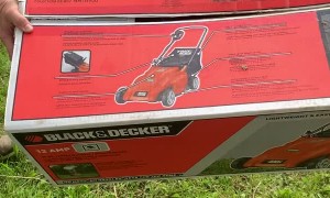 Cute Raccoon Found Sleeping in a Box inside of a Shed