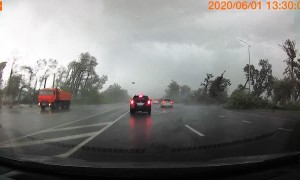 Hurricane Tears Trees Down Along Highway