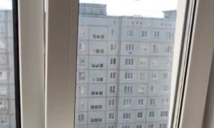 Kitty Wriggles Around in Cooking Pot