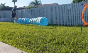 Mahm was so proud of me today because I jumped, did tunnel and the hoop! It was so much fun!