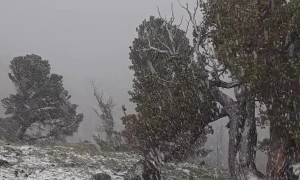 Thunderstorm Brings Down Heavy Snow