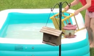 Girl's Attempt to Help Squirrel Backfires