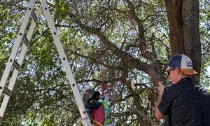 Kiddo Practicing His Rock Climbing Skills Early