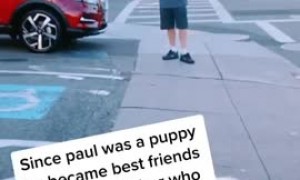 Dog reunited with neighbor after coronavirus sickness