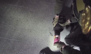 Traffic officer rescues cat with head stuck in soup can