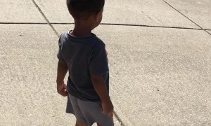 Toddler Spreads Love by Giving Water to Garbage Truck Driver