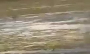 Watching a Twister Form and Touch Down