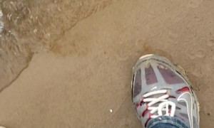 Son Lets Catfish Go Free