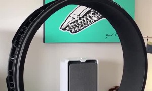 Kitty Hops Along to Keep Favorite Toy Turning