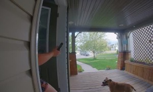 Doorbell Camera Catches Lady Falling