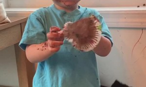 Sons Muffin Mess and Attempted Clean Up