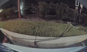 Karen Unplugs Charging Car to Charge Hers