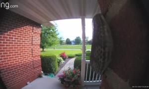 Ansssswer at Your Own Rissssk