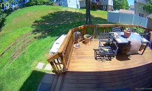 Police Chase Tears Through Backyard