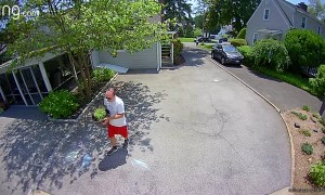 Black Bear Startles Residents Wandering Through Backyard