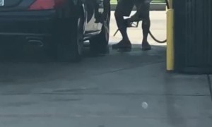 Guy Using Gas at Gas Pump to Clean Car